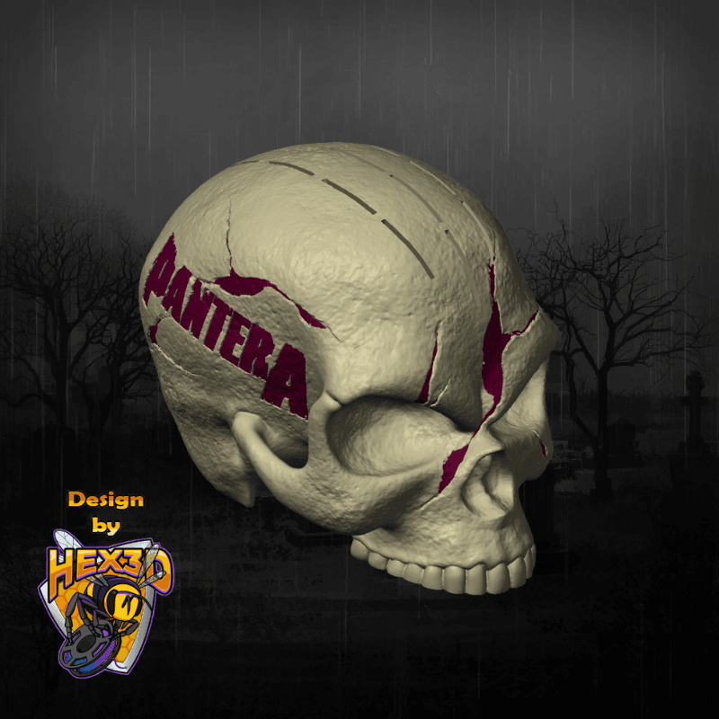 Skull PANTERA plektreholder - Billede 2
