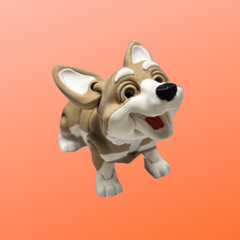 Corgi