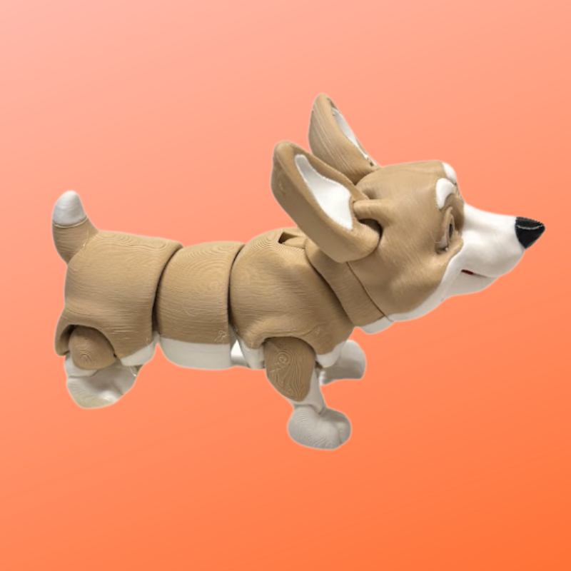 Corgi - Billede 2
